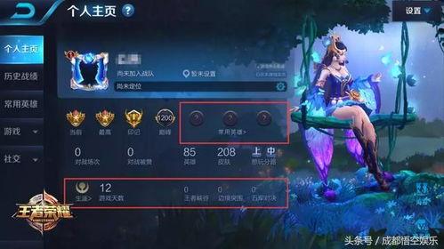 怎么找王者最新爆料,王者最新爆料，探寻游戏更新动向  第1张