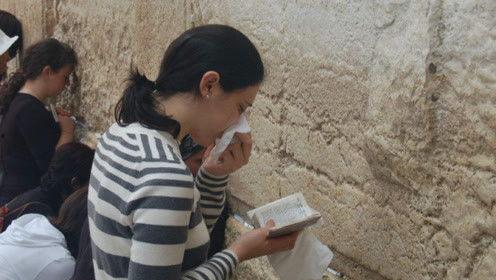 娱乐吃瓜君陶白白,陶白白带你领略娱乐圈的“瓜田”盛景  第1张